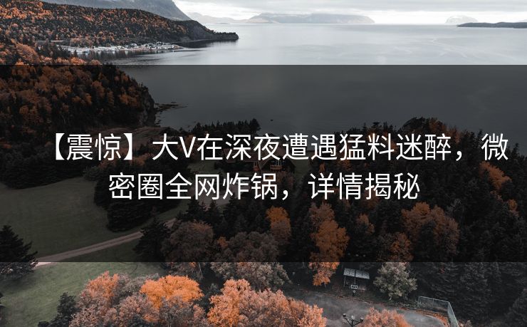 【震惊】大V在深夜遭遇猛料迷醉，微密圈全网炸锅，详情揭秘