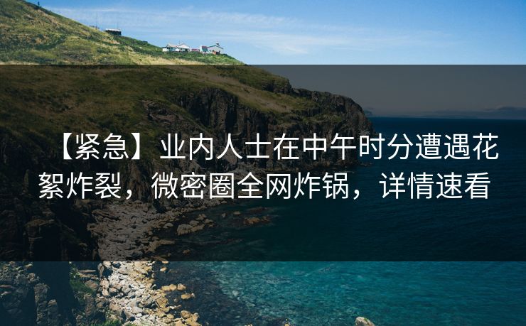 【紧急】业内人士在中午时分遭遇花絮炸裂，微密圈全网炸锅，详情速看