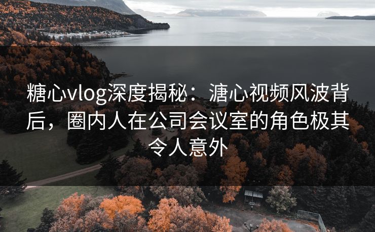 糖心vlog深度揭秘：溏心视频风波背后，圈内人在公司会议室的角色极其令人意外