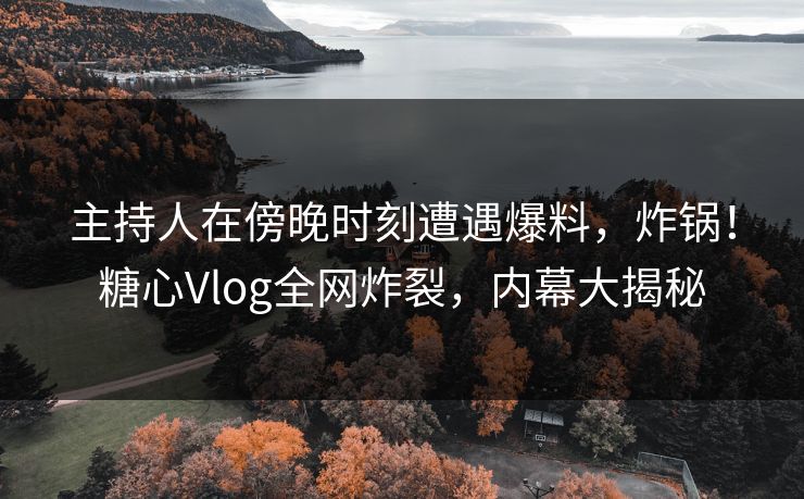 主持人在傍晚时刻遭遇爆料,炸锅!糖心Vlog全网炸裂,内幕大揭秘 主持人在傍晚时刻遭遇爆料,炸锅!糖心Vlog全网炸裂,内幕大揭秘