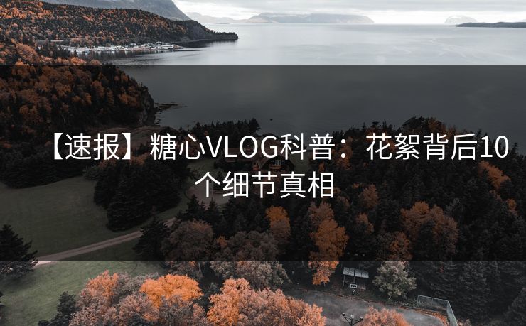 【速报】糖心VLOG科普：花絮背后10个细节真相